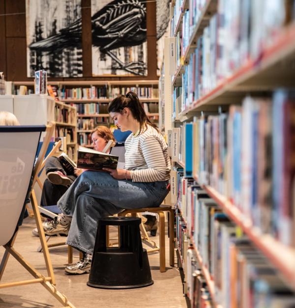 mensen lezen in de bib